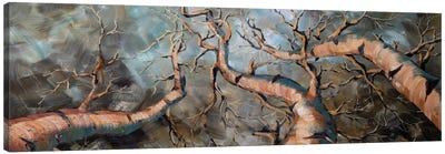 Birch Forest III Canvas Art Print - Lakehouse Décor