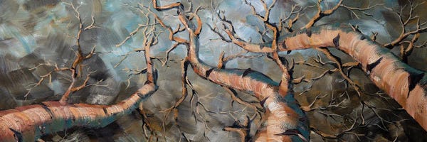 Willson Lau: Birch Forest III by Willson Lau