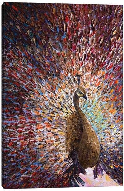 Peacock X Canvas Art Print