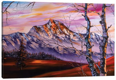 The Snow Mountains Series IV The Heavenly Lights Canvas Art Print - Birch Tree Art