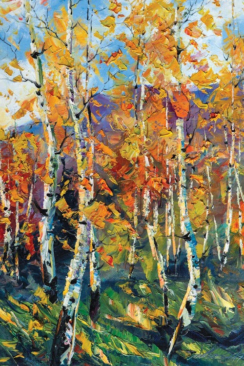 Birch Forest VI