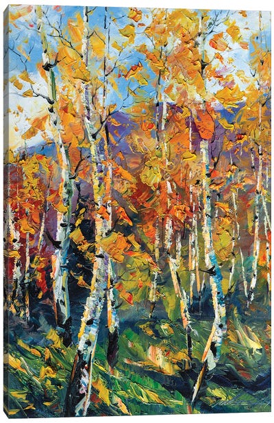 Birch Forest VI Canvas Art Print - Willson Lau