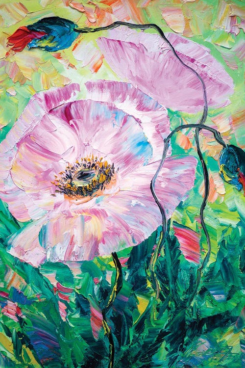 Poppy Dance by Willson Lau wall art