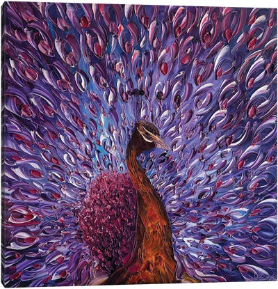 Peacock XXIII Canvas Art Print - Art Enthusiast