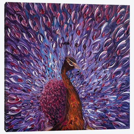 Peacock XXIII Canvas Print #WLA49} by Willson Lau Canvas Artwork