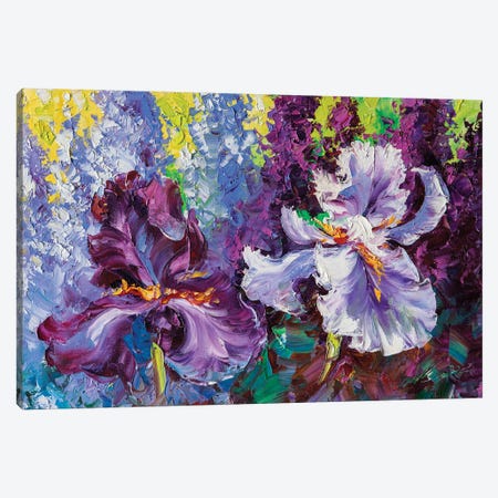Irises I Canvas Print #WLA4} by Willson Lau Art Print