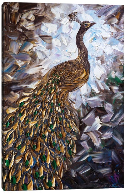Peacock XXIV Canvas Art Print - Willson Lau