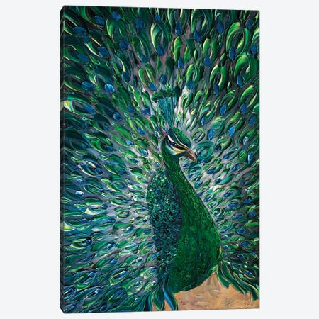 Peacock XXV Canvas Print #WLA52} by Willson Lau Canvas Print