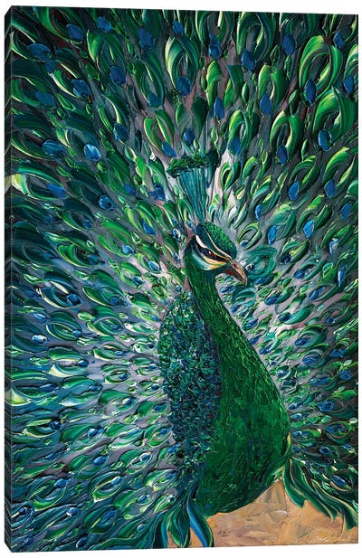 Peacock XXV Canvas Art Print - Willson Lau