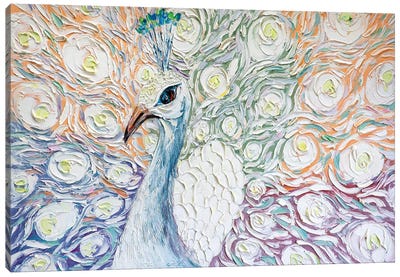 Peacock XXVI Canvas Art Print - Willson Lau