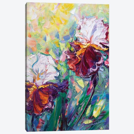 Irises III Canvas Print #WLA5} by Willson Lau Canvas Print