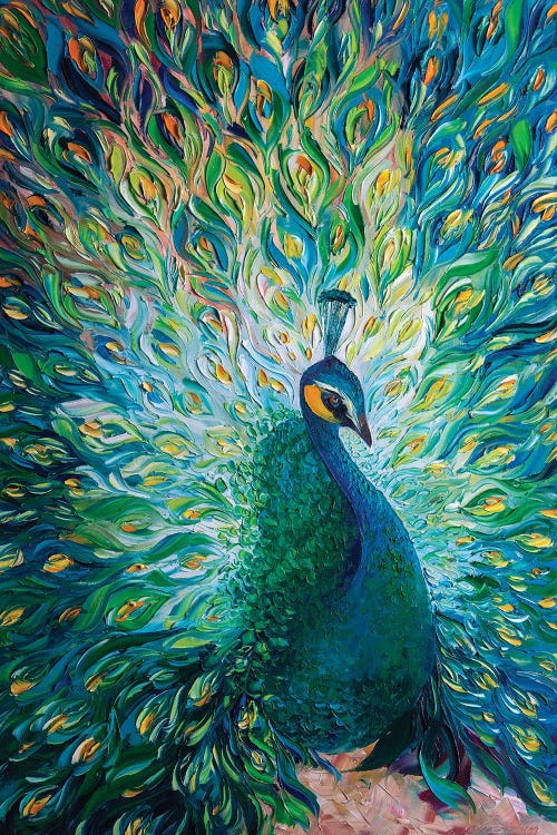 Peacock XXXII by Willson Lau wall art