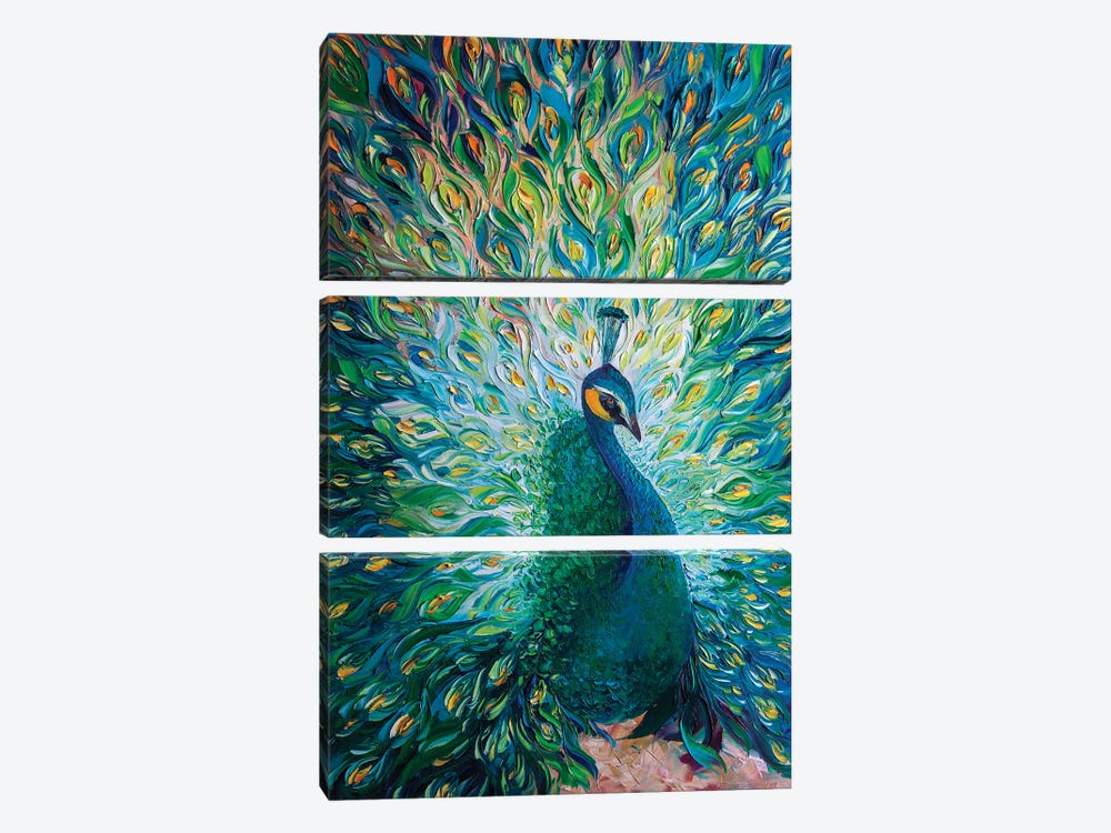 Peacock XXXII by Willson Lau 3-piece Canvas Art Print