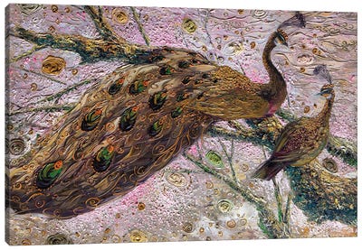 Peacock XXXIII Canvas Art Print - Willson Lau