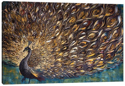 Peacock XXXIV Canvas Art Print