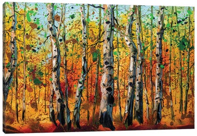 Birch Forest VIII Canvas Art Print - Willson Lau
