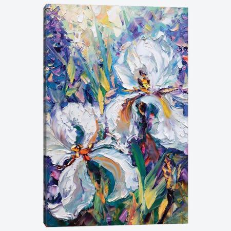 Irises IV Canvas Print #WLA6} by Willson Lau Canvas Print