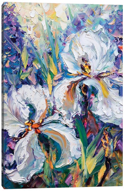Irises IV Canvas Art Print - Willson Lau
