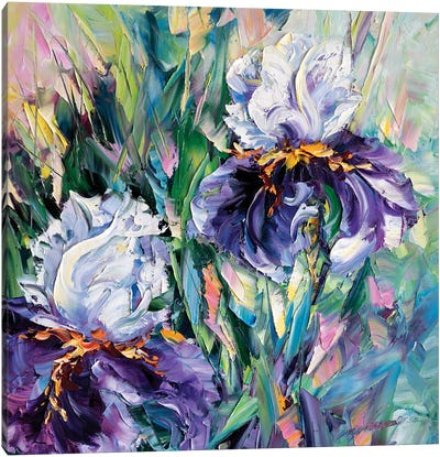 Iris II Canvas Art Print - Willson Lau