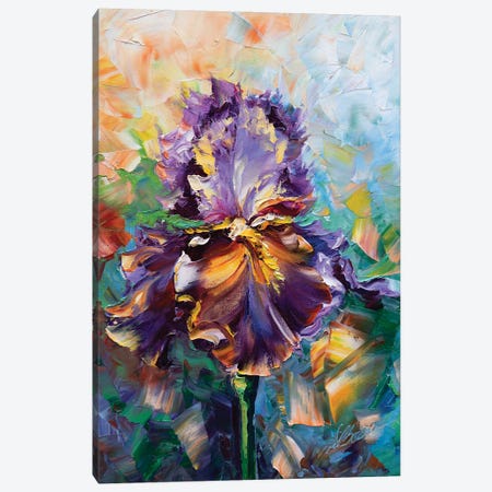 Irises II Canvas Print #WLA9} by Willson Lau Canvas Art