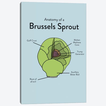 Brussels Canvas Print #WLD14} by Stephen Wildish Canvas Print