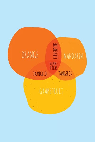 Stephen Wildish: Oranges by Stephen Wildish