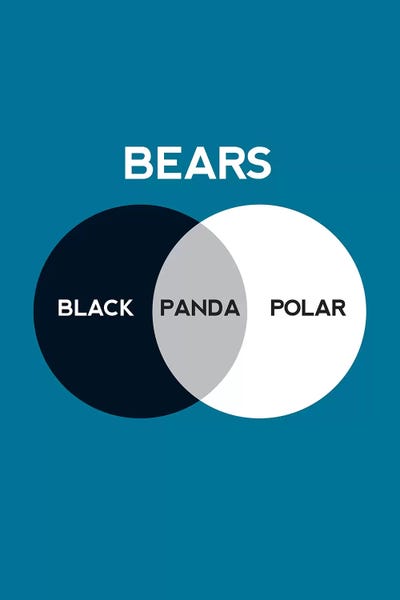 Bears by Stephen Wildish canvas print