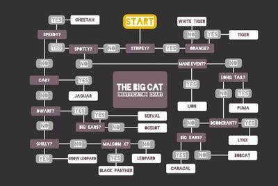 Bigcats by Stephen Wildish canvas print