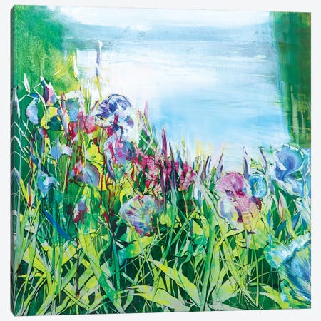 Iris on the Pond Canvas Print #WLM11} by Jen Williams Canvas Print