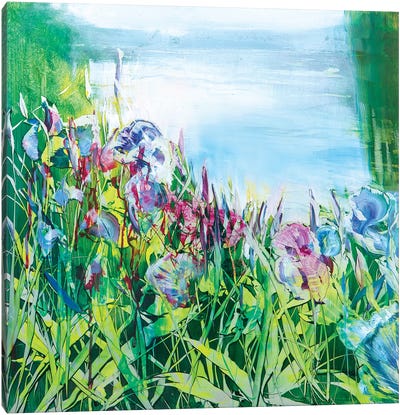 Iris on the Pond Canvas Art Print - Jen Williams