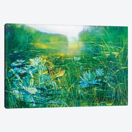 Lilly on the Pond Canvas Print #WLM13} by Jen Williams Canvas Print