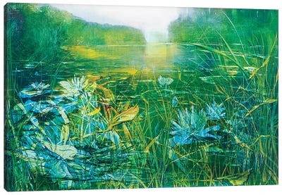 Lilly on the Pond Canvas Art Print