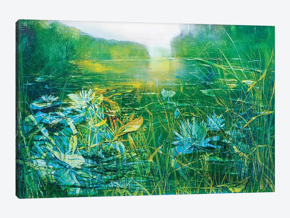 Lilly on the Pond by Jen Williams 1-piece Canvas Wall Art