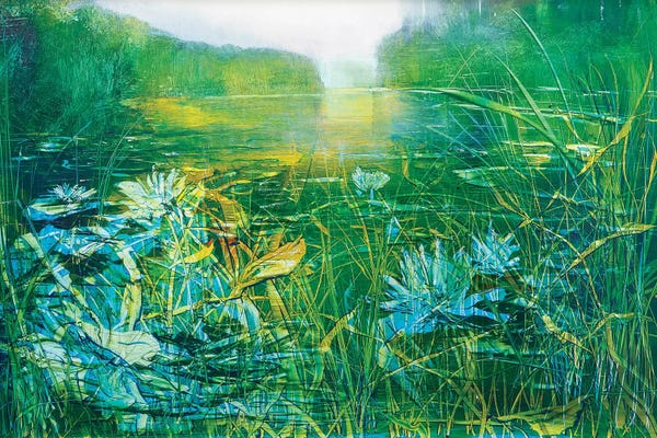 Jen Williams: Lilly on the Pond by Jen Williams