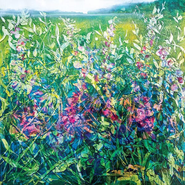 Jen Williams: Texan Rocket by Jen Williams