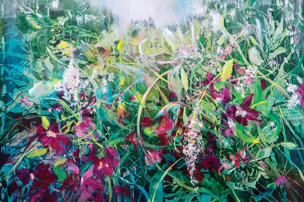 Bougainvillea: Wild Bouganville by Jen Williams