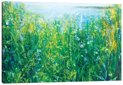 Wild Iris Canvas Art Print - Iris Art
