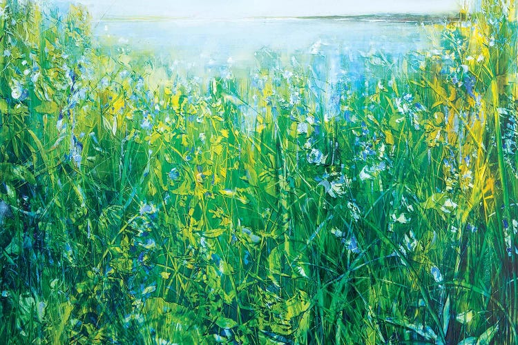 Wild Iris