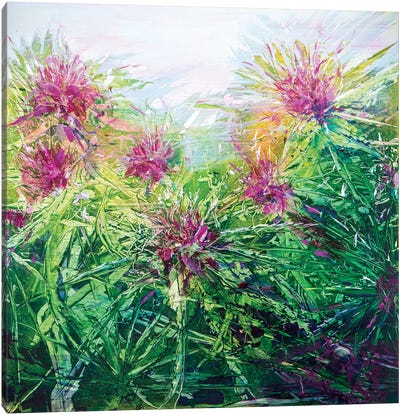 Flower Tops Canvas Art Print - Jen Williams