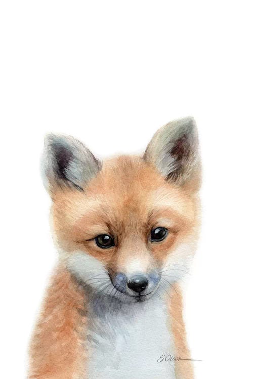 Baby Fox by Watercolor Luv wall art