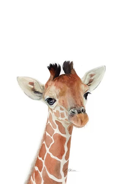Giraffes: Baby Giraffe by Watercolor Luv