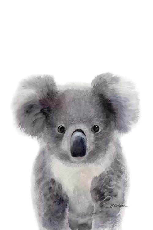 Baby Koala by Watercolor Luv wall art