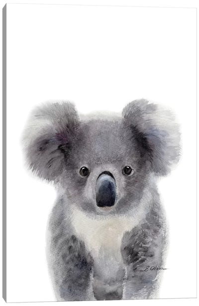 Baby Koala Canvas Art Print - Koala Art