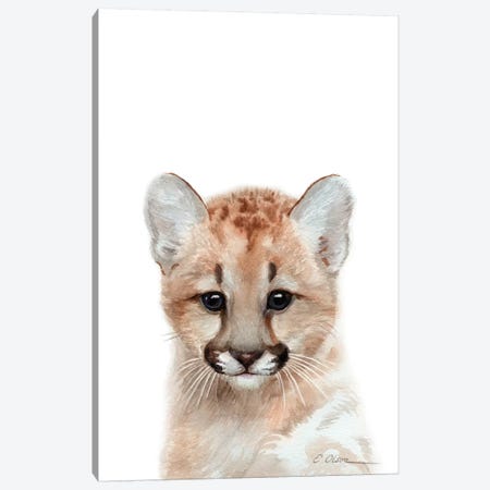 Baby Mountain Lion Canvas Print #WLU104} by Watercolor Luv Canvas Wall Art