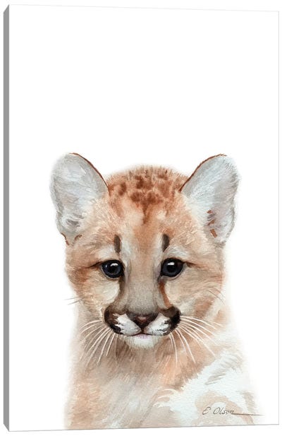 Baby Mountain Lion Canvas Art Print - Cougars