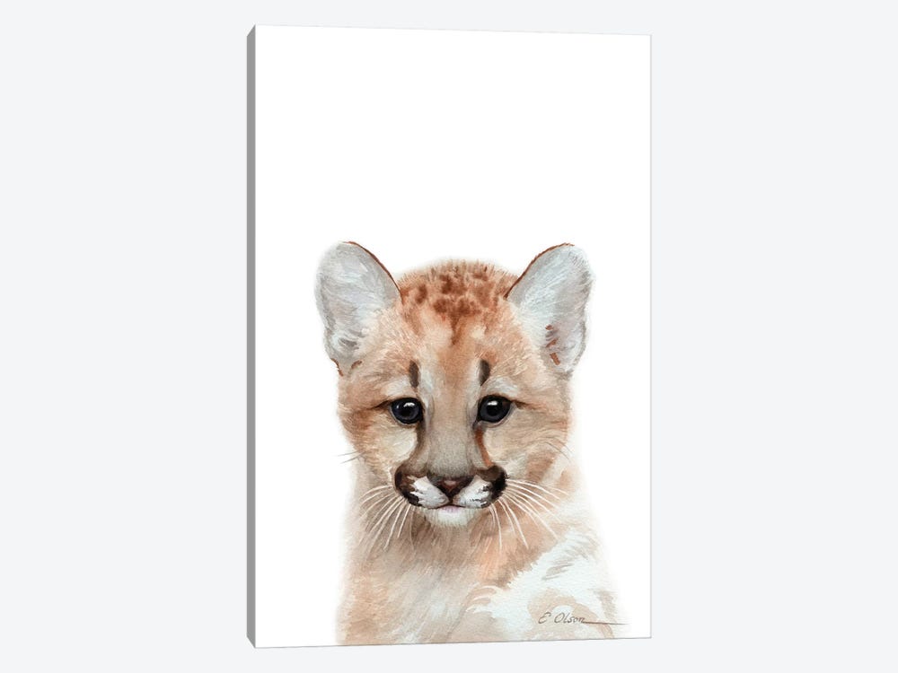 Baby Mountain Lion by Watercolor Luv 1-piece Canvas Print