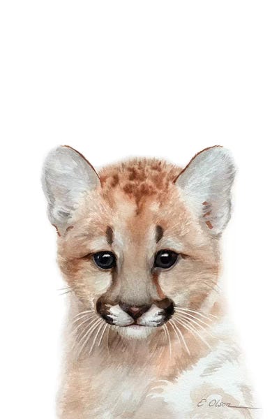 Cougars: Baby Mountain Lion by Watercolor Luv
