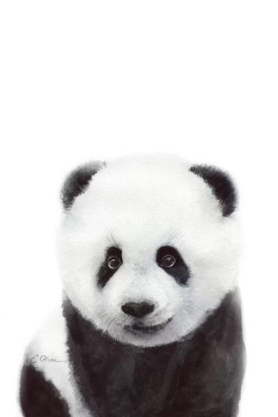 Pandas: Baby Panda by Watercolor Luv