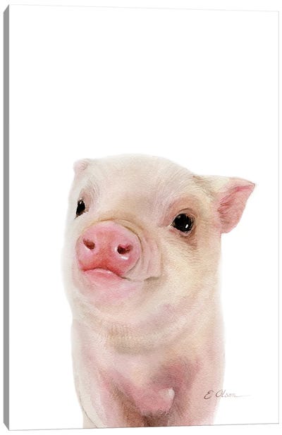 Baby Pig Canvas Art Print - Pig Art