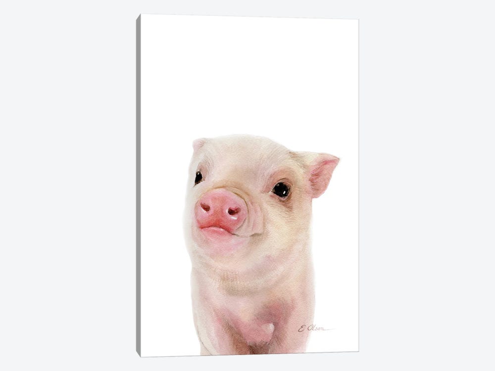 Baby Pig by Watercolor Luv 1-piece Canvas Print